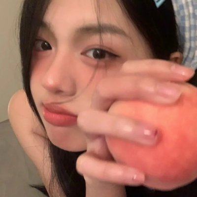 假元首秘纪